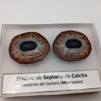 NÓDULO DE SEPTARIA DE CALCITA.