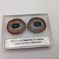 NÓDULO DE SEPTARIA DE CALCITA. - Imagen 2
