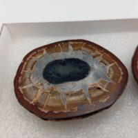 NÓDULO DE SEPTARIA DE CALCITA. - Imagen 3