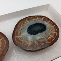 NÓDULO DE SEPTARIA DE CALCITA. - Imagen 4