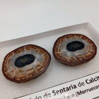 NÓDULO DE SEPTARIA DE CALCITA. - Imagen 5