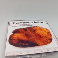 FRAGMENTO DE ÁMBAR (RESINA FÓSIL). CHIAPAS (MÉXICO) - Imagen 2