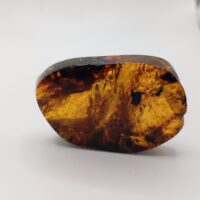 FRAGMENTO DE ÁMBAR (RESINA FÓSIL). CHIAPAS (MÉXICO) - Imagen 5