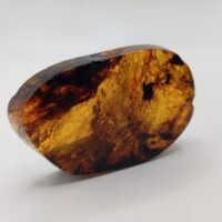 FRAGMENTO DE ÁMBAR (RESINA FÓSIL). CHIAPAS (MÉXICO) - Imagen 6
